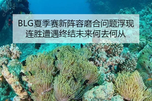 BLG夏季赛新阵容磨合问题浮现 连胜遭遇终结未来何去何从 - MKSPORT